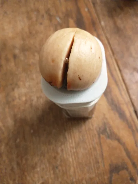 Nắp Thủy Canh Cho Hộp Sữa Tetrapak 240mL - Image 2