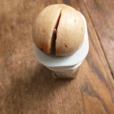 Nắp Thủy Canh Cho Hộp Sữa Tetrapak 240mL