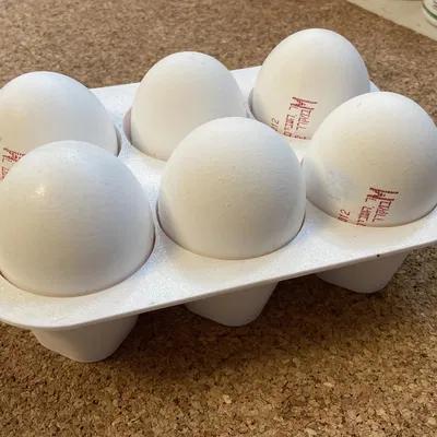 Khay đựng 6 trứng
