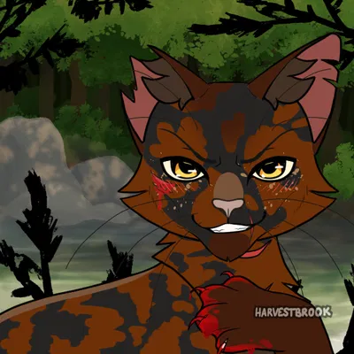 Mẫu Mèo Chiến Binh