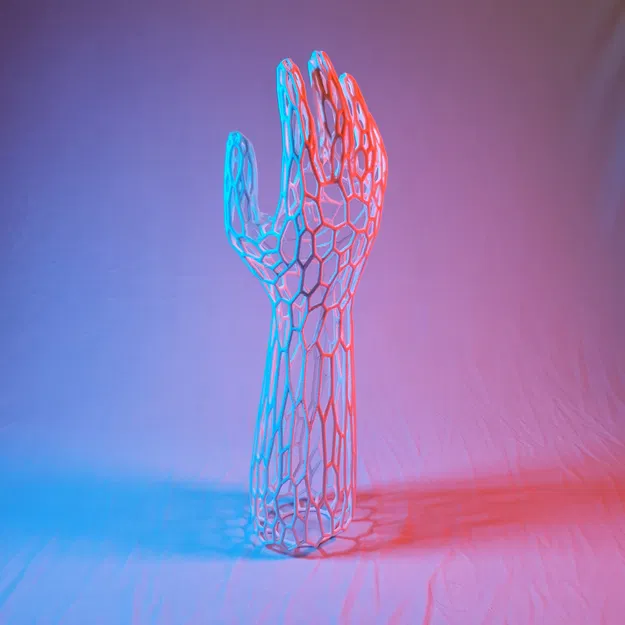 Tay Giả Voronoi - Image 1