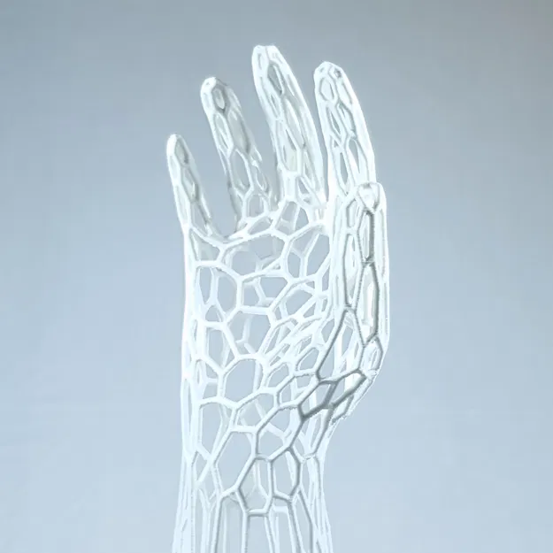 Tay Giả Voronoi - Image 3