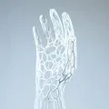 Tay Giả Voronoi - Thumbnail 3