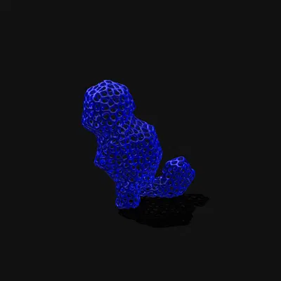 Squirtle Phong Cách Voronoi Low Poly