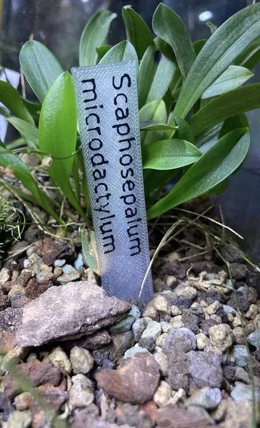 Bảng Tên Cây / Plant Label - Image 1