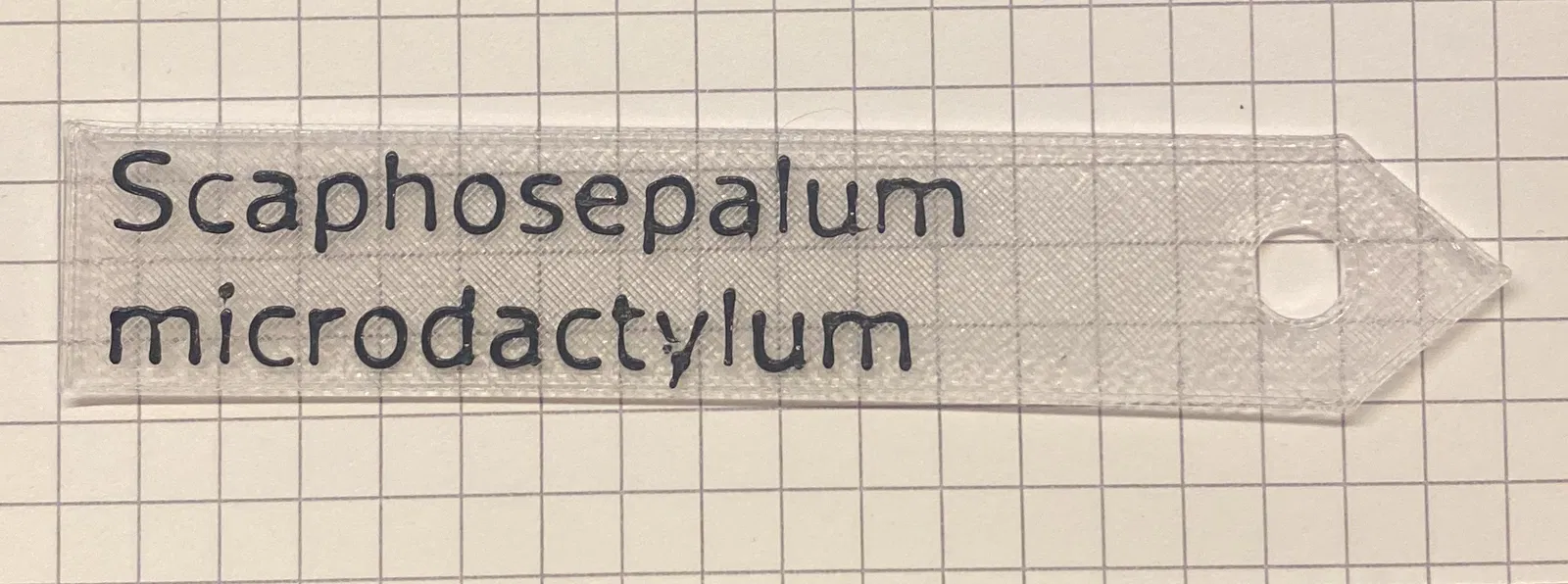 Bảng Tên Cây / Plant Label - Image 2