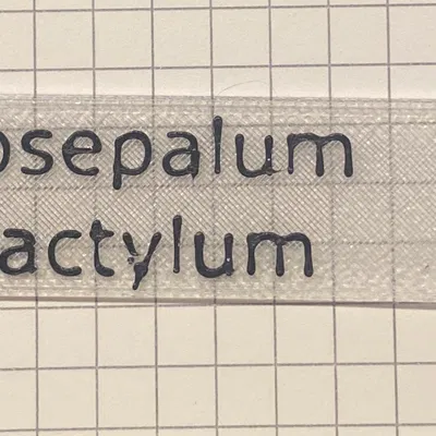 Bảng Tên Cây / Plant Label