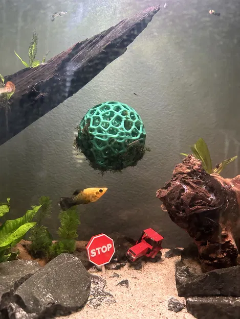 Bóng Rêu Voronoi - Image 2