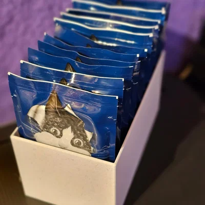 Hộp Đựng Thức Ăn Mèo Felix Đơn Giản - Cho 14 Bữa