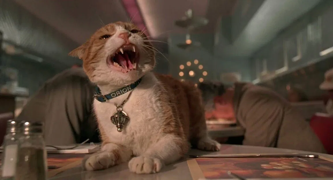 Dải Ngân Hà Trên Thắt Lưng Orion - Image 1