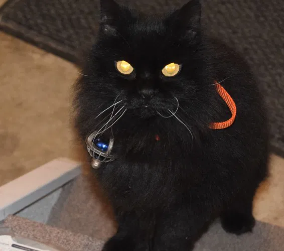 Dải Ngân Hà Trên Thắt Lưng Orion - Image 5