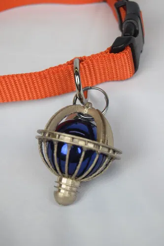 Dải Ngân Hà Trên Thắt Lưng Orion - Image 7