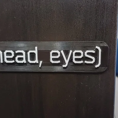Escape from Tarkov [Head, Eyes]