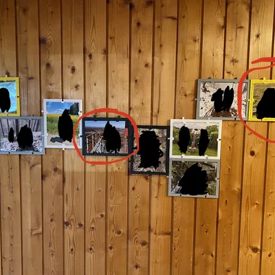 The Mosaic - Khung Ảnh Ghép Lại Được