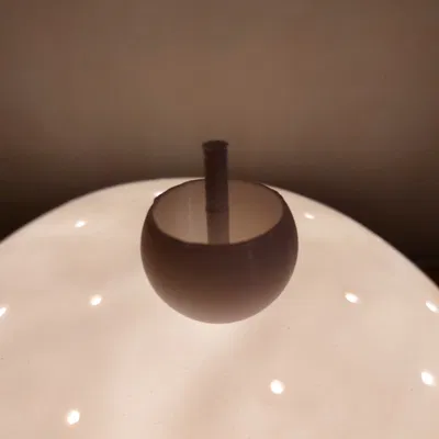 Con quay lộn ngược / spinner