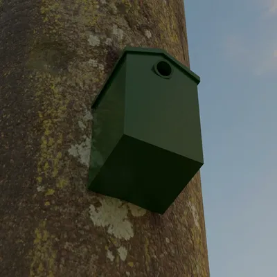 Nhà chim (kích thước tiêu chuẩn)