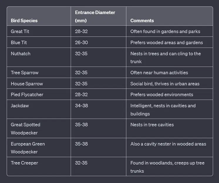 Nhà chim (kích thước tiêu chuẩn) - Image 10