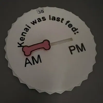 Thiết Bị Theo Dõi Cho Thú Cưng Ăn