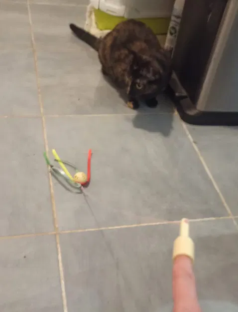 Đồ chơi ngón tay cho mèo - Image 1