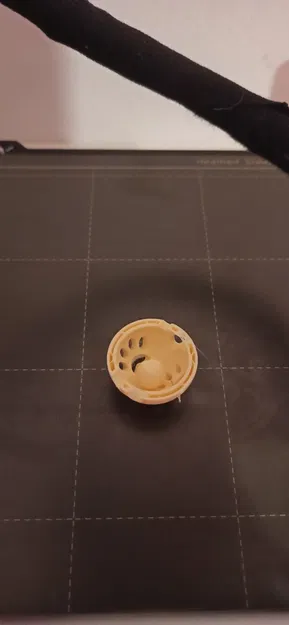 Đồ chơi ngón tay cho mèo - Image 4