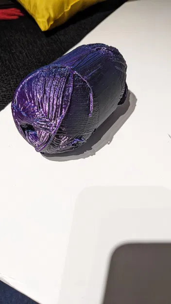 Trái Len Kỷ Niệm - Image 3