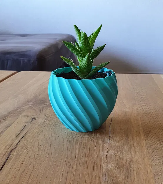 Lọ Hoa Xoắn (Vase Torsadé) - Image 1