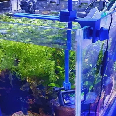 Giá đỡ đa năng điều chỉnh được cho Gopro (hoặc tương đương)