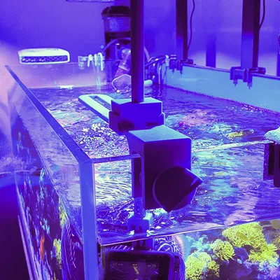 Giá đỡ đa năng điều chỉnh được cho Gopro (hoặc tương đương)