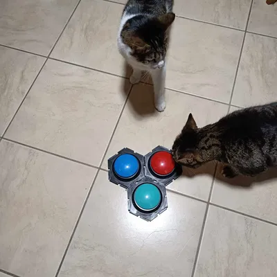 Hộp đựng nút bấm hình lục giác cho chó/mèo biết nói