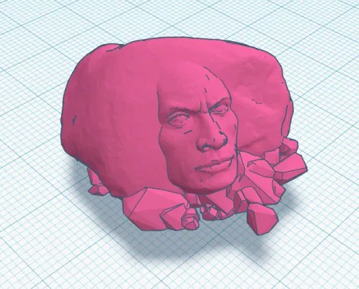 The Rock Rock Croc - The Rock Trong Đá Cho Cá Sấu - Image 2