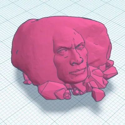 The Rock Rock Croc - The Rock Trong Đá Cho Cá Sấu