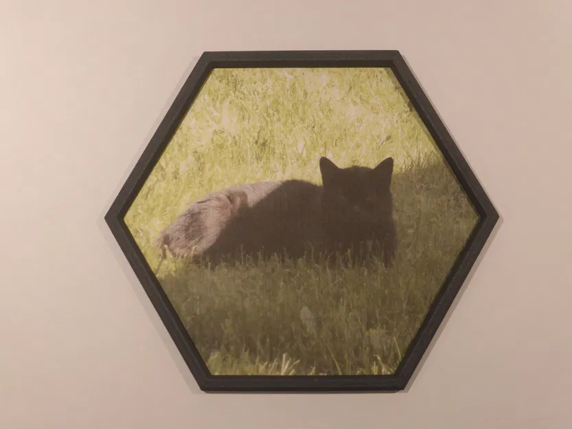 Khung Ảnh Lục Giác Hai Phần - Image 1