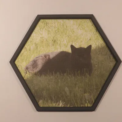 Khung Ảnh Lục Giác Hai Phần