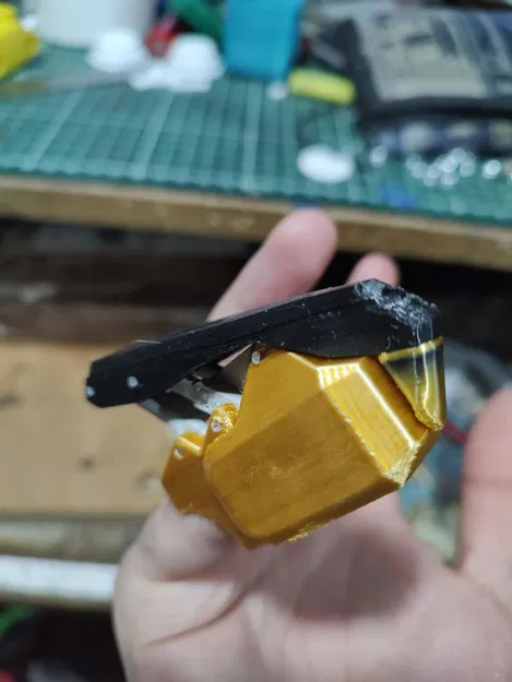 Móng Vuốt Co Ngót - Image 4