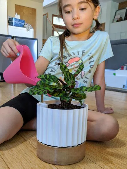 Chậu Cây Tự Tưới Theo Thông Số Có Chỉ Báo Mực Nước - Image 1