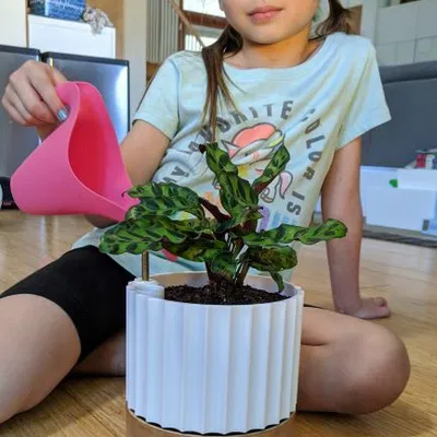 Chậu Cây Tự Tưới Theo Thông Số Có Chỉ Báo Mực Nước