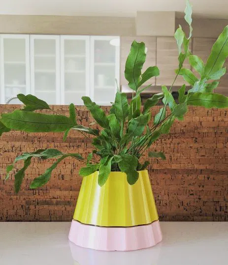 Chậu Cây Tự Tưới Theo Thông Số Có Chỉ Báo Mực Nước - Image 3