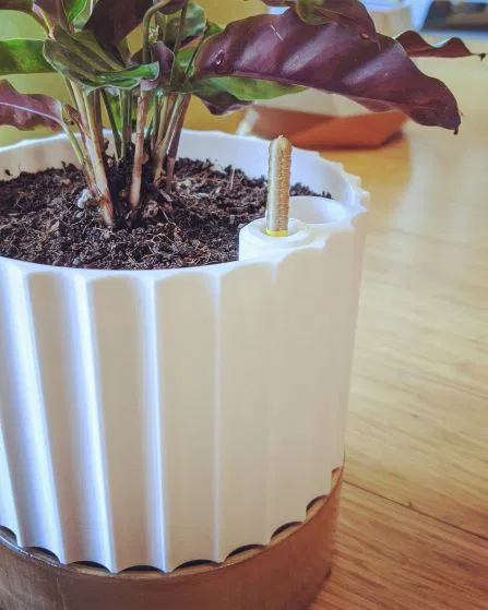 Chậu Cây Tự Tưới Theo Thông Số Có Chỉ Báo Mực Nước - Image 5