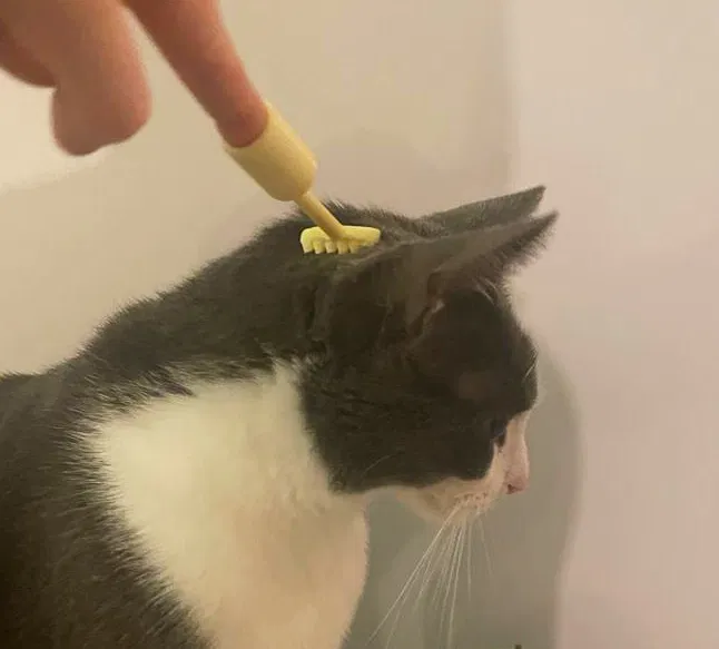 Cây Gãi Lưng Mini - Phiên Bản Bỏ Túi - Image 2