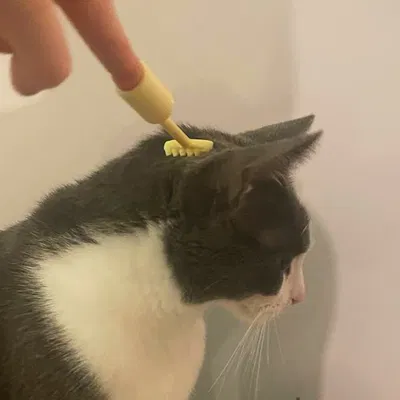 Cây Gãi Lưng Mini - Phiên Bản Bỏ Túi