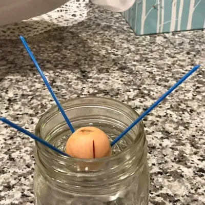 Răng Cưa In Được