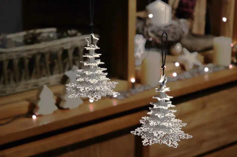 Cây Thông Tuyết - Image 2