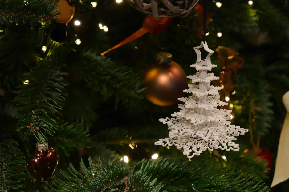 Cây Thông Tuyết - Image 6