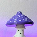 Nấm Morel Dễ Thương - Thumbnail 1
