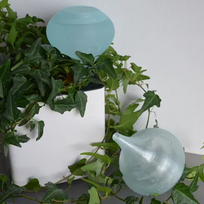 Bình tưới cây tự động