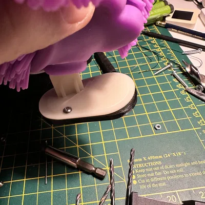 Sửa Chân Gãy Cho Jiggly Pets Koala