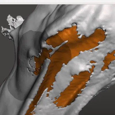 Phục Hồi Đường Viền Chồng Lấp Bằng MeshMixer (3D Scan)