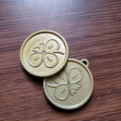 Móc Khóa & Đồng Xu Fuyo Coin