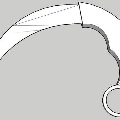 Dao Karambit cong