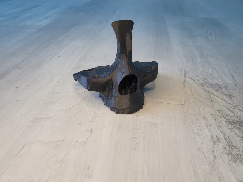 Kệ Kính Mắt Hình Đầu Lâu - Image 4